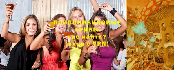 ешки Алексеевка