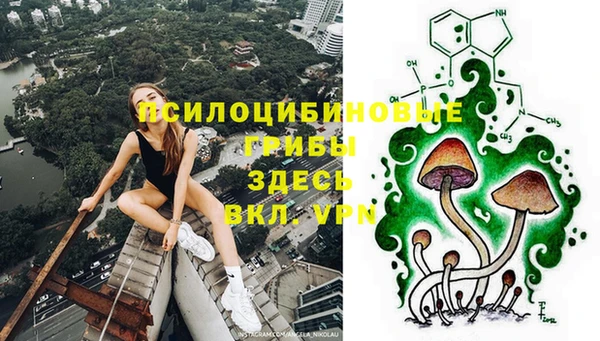 сатива Алексин