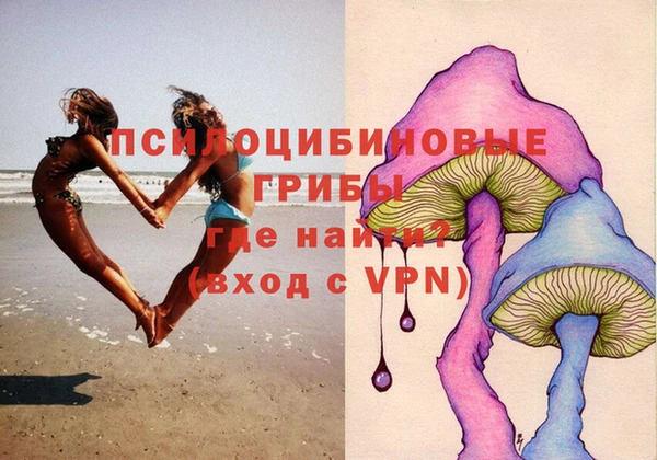 сатива Алексин