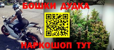 apvp Лесосибирск
