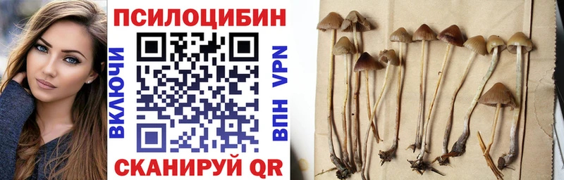 mega ссылки даркнет сайт Ковров Псилоцибиновые грибы Psilocybine cubensis