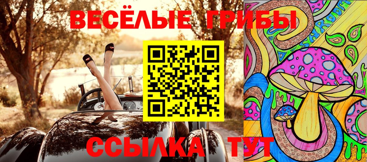 Ковров  Псилоцибиновые грибы MAGIC MUSHROOMS  Галлюциногенные грибы мицелий  Вход с VPN 